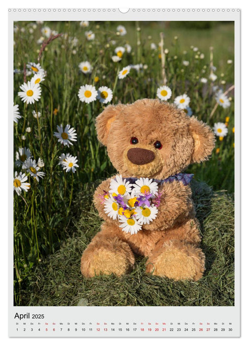 Travelling Teddy in Europa (CALVENDO Premium Wandkalender 2025)