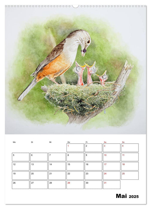 Vögel im Wind (CALVENDO Wandkalender 2025)