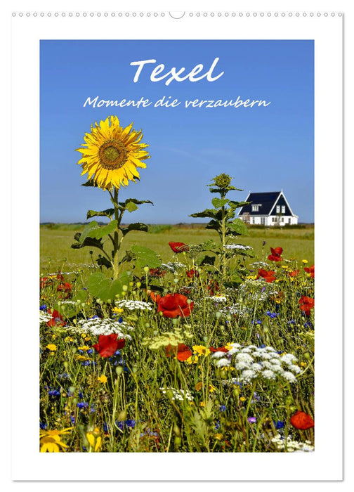 Texel - Momente die verzaubern (CALVENDO Wandkalender 2025)