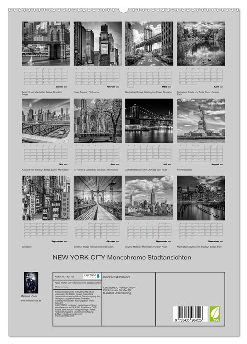 NEW YORK CITY Monochrome Stadtansichten (CALVENDO Premium Wandkalender 2025)