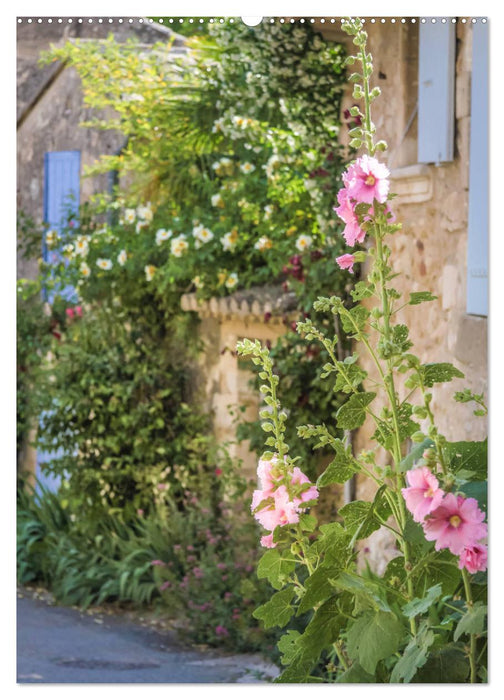 Provence im Licht (CALVENDO Premium Wandkalender 2025)