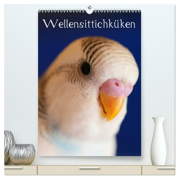 Wellensittichküken (CALVENDO Premium Wandkalender 2025)