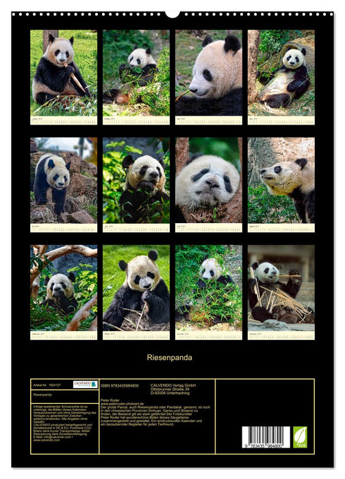 Riesenpanda (CALVENDO Premium Wandkalender 2025)