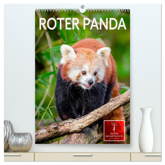 Roter Panda (CALVENDO Premium Wandkalender 2025)