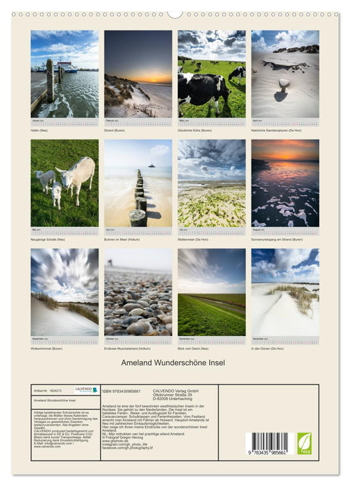 Ameland Wunderschöne Insel (CALVENDO Premium Wandkalender 2025)