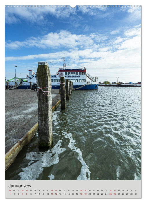 Ameland Wunderschöne Insel (CALVENDO Premium Wandkalender 2025)