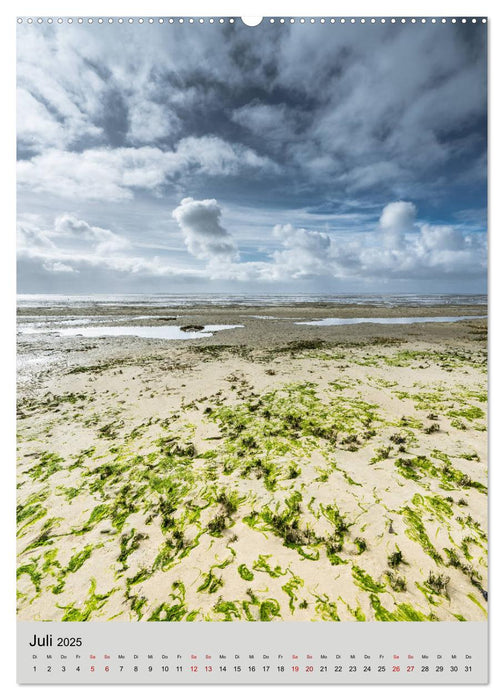 Ameland Wunderschöne Insel (CALVENDO Premium Wandkalender 2025)