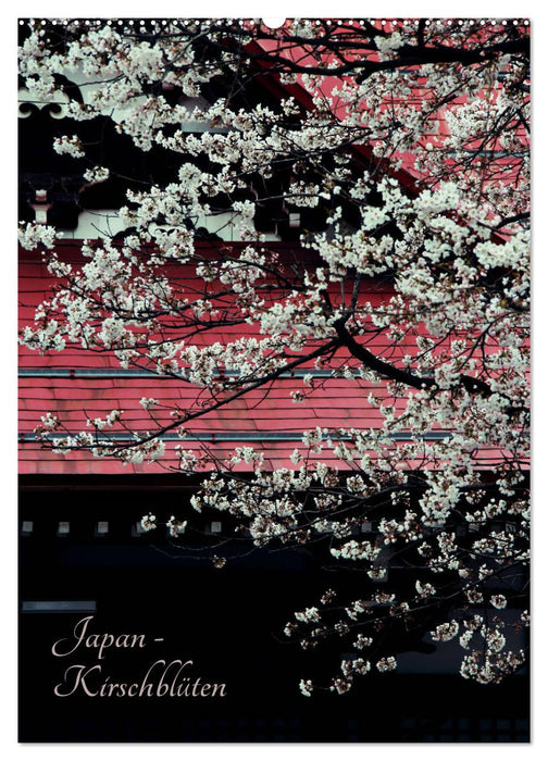 Japan - Kirschblüten (CALVENDO Wandkalender 2025)