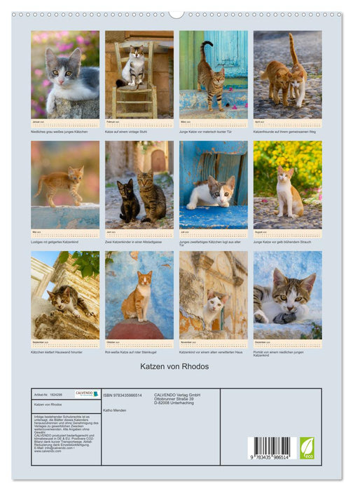 Katzen von Rhodos (CALVENDO Premium Wandkalender 2025)