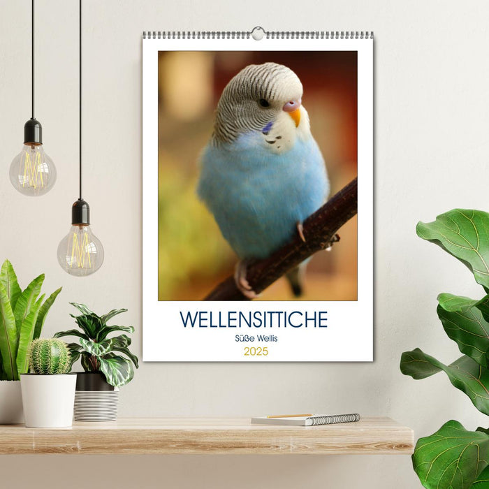 WELLENSITTICHE - Süße Wellis (CALVENDO Wandkalender 2025)