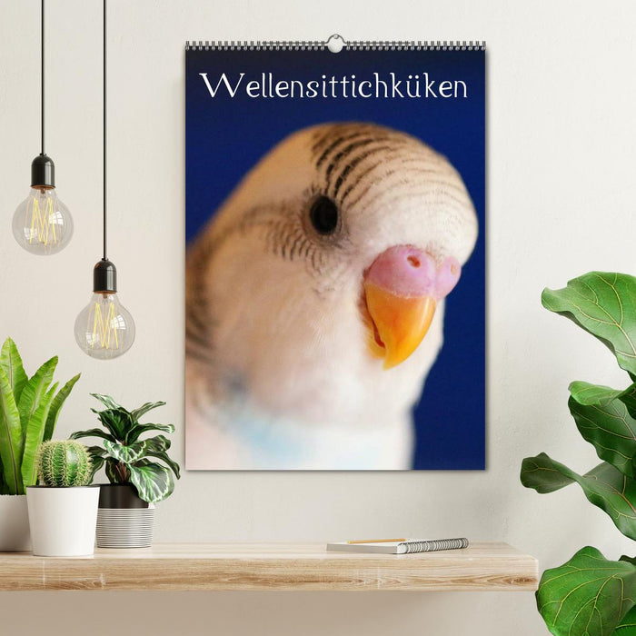 Wellensittichküken (CALVENDO Wandkalender 2025)