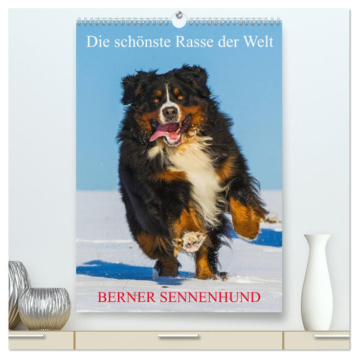 Die schönste Rasse der Welt - Berner Sennenhund (CALVENDO Premium Wandkalender 2025)