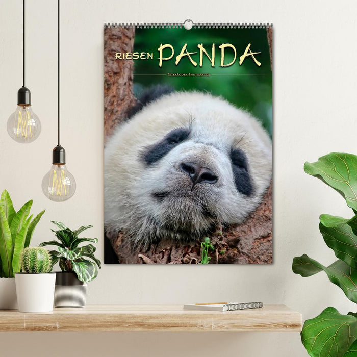 Riesenpanda (CALVENDO Wandkalender 2025)