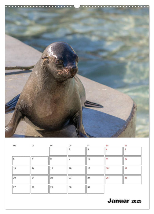 Artenvielfalt Tiere (CALVENDO Premium Wandkalender 2025)