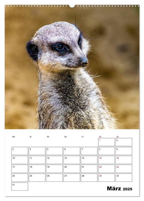 Artenvielfalt Tiere (CALVENDO Premium Wandkalender 2025)