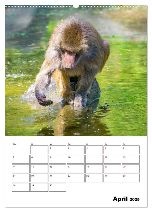 Artenvielfalt Tiere (CALVENDO Premium Wandkalender 2025)