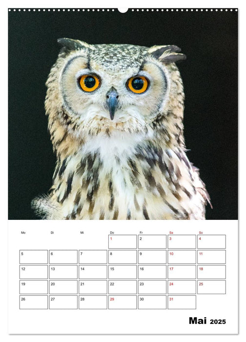 Artenvielfalt Tiere (CALVENDO Premium Wandkalender 2025)