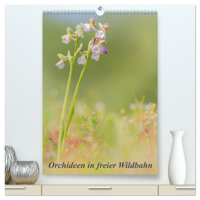 Orchideen in freier Wildbahn (CALVENDO Premium Wandkalender 2025)