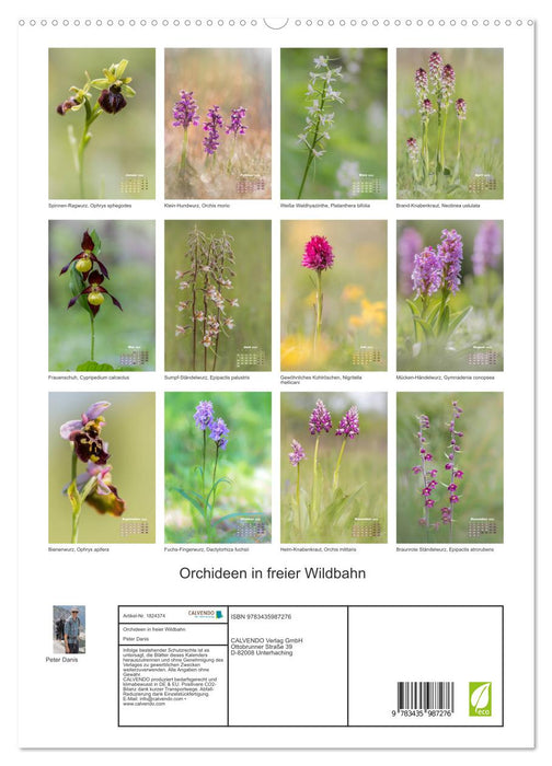 Orchideen in freier Wildbahn (CALVENDO Premium Wandkalender 2025)