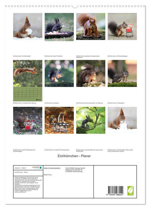 Eichhörnchen - Planer (CALVENDO Premium Wandkalender 2025)