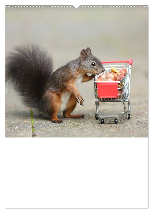 Eichhörnchen - Planer (CALVENDO Premium Wandkalender 2025)