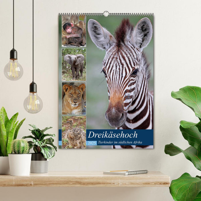 Dreikäsehoch - Tierkinder im südlichen Afrika (CALVENDO Wandkalender 2025)