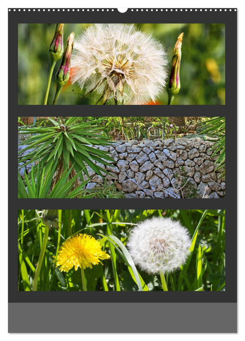 Naturfarben entdecken (CALVENDO Wandkalender 2025)