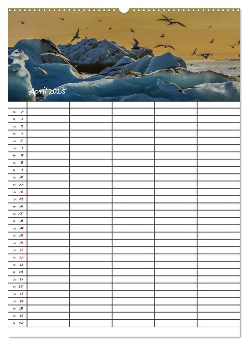 Sehnsucht Island Familienplaner 2025 (CALVENDO Premium Wandkalender 2025)