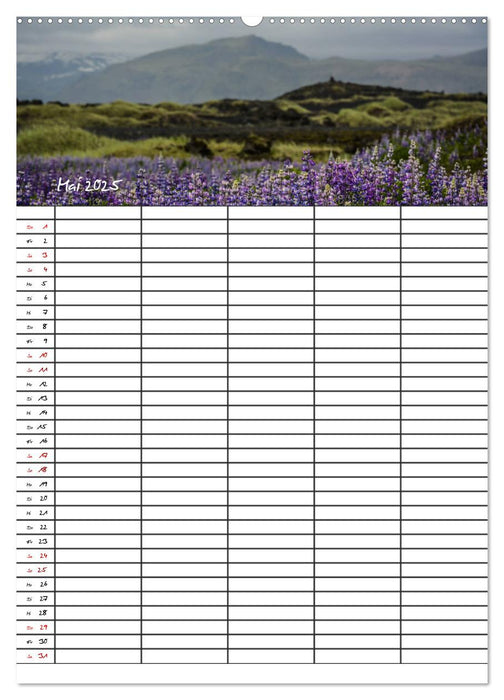 Sehnsucht Island Familienplaner 2025 (CALVENDO Premium Wandkalender 2025)