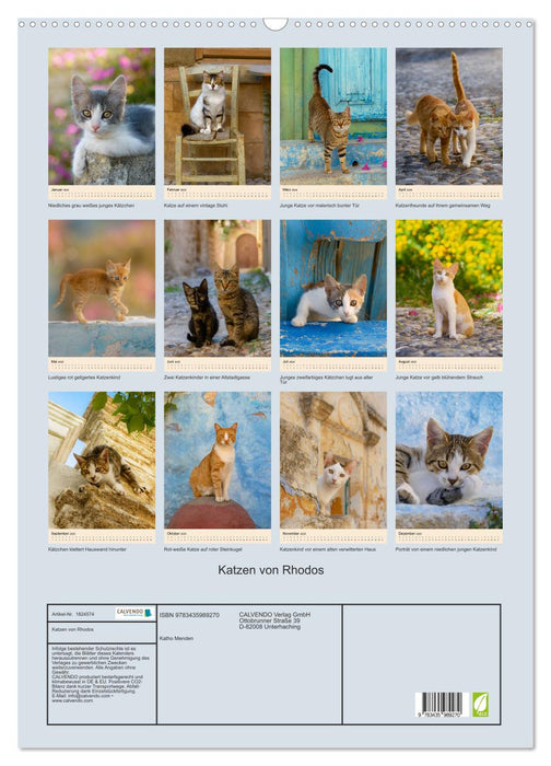 Katzen von Rhodos (CALVENDO Wandkalender 2025)