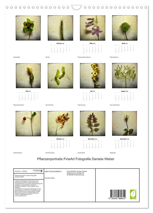 Pflanzenportraits FineArt Fotografie Daniela Weber (CALVENDO Wandkalender 2025)