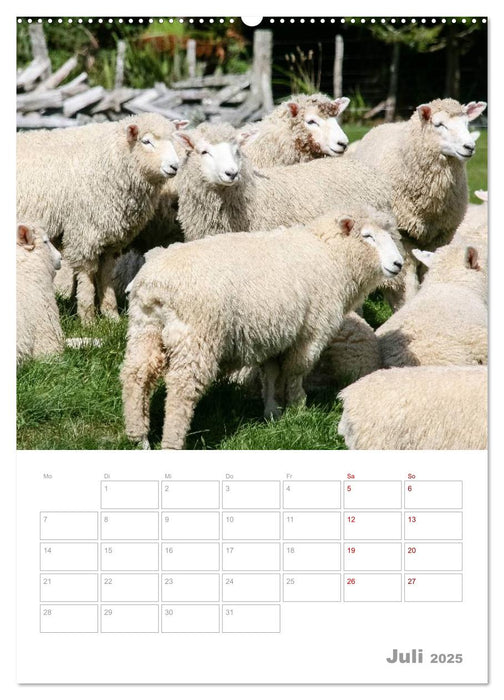 Kalenderplaner g'day Neuseeland 2025 (CALVENDO Premium Wandkalender 2025)