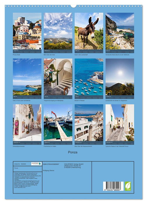 Ponza (CALVENDO Premium Wandkalender 2025)