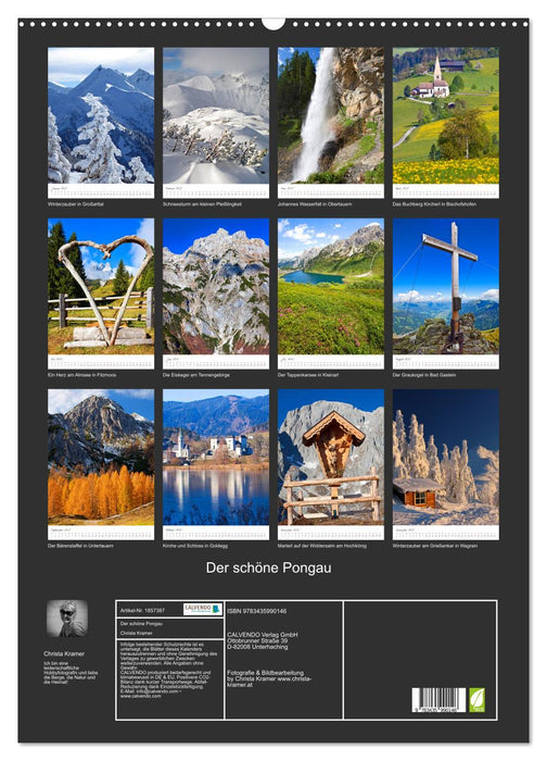 Der schöne Pongau (CALVENDO Wandkalender 2025)