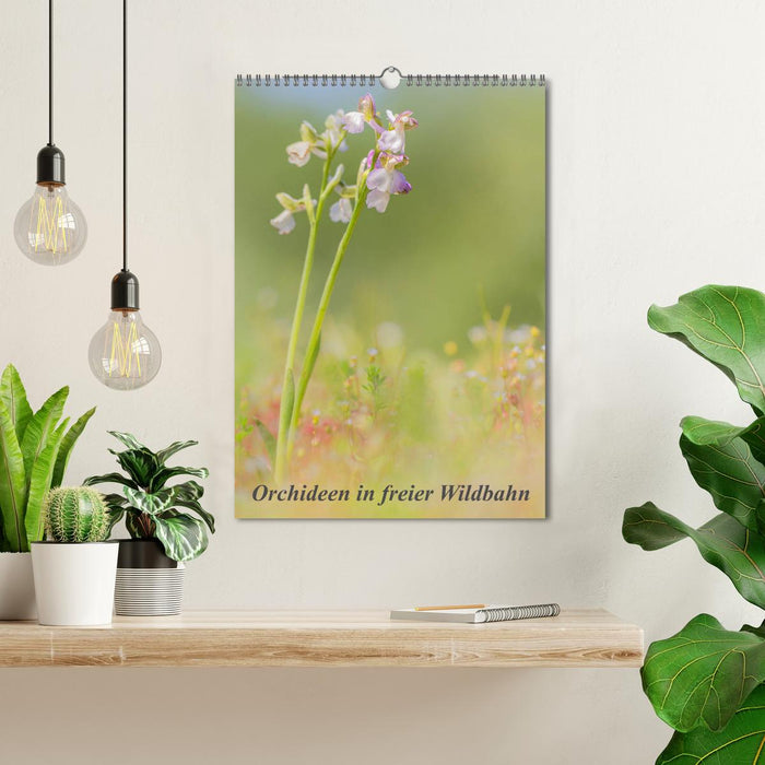 Orchideen in freier Wildbahn (CALVENDO Wandkalender 2025)