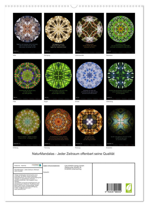 NaturMandalas - Jeder Zeitraum offenbart seine Qualität (CALVENDO Premium Wandkalender 2025)