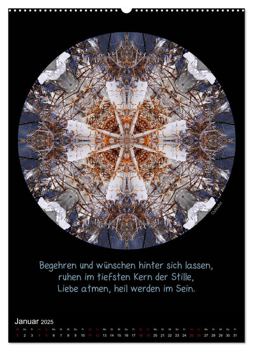 NaturMandalas - Jeder Zeitraum offenbart seine Qualität (CALVENDO Premium Wandkalender 2025)