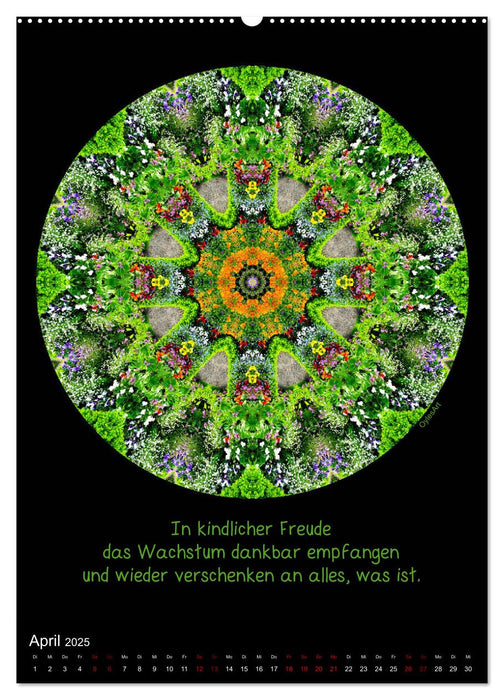 NaturMandalas - Jeder Zeitraum offenbart seine Qualität (CALVENDO Premium Wandkalender 2025)