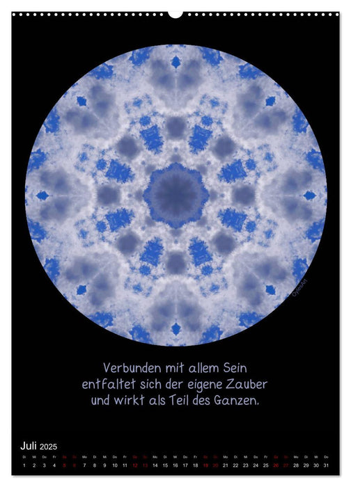 NaturMandalas - Jeder Zeitraum offenbart seine Qualität (CALVENDO Premium Wandkalender 2025)