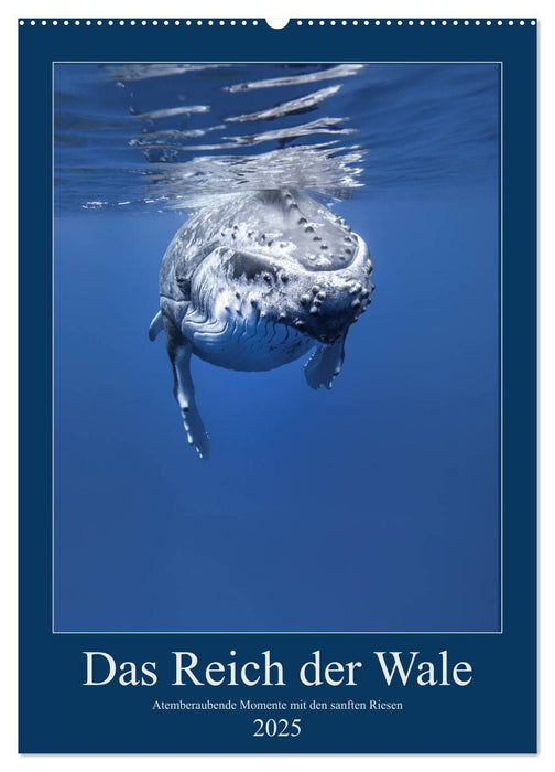 Im Reich der Wale (CALVENDO Wandkalender 2025)