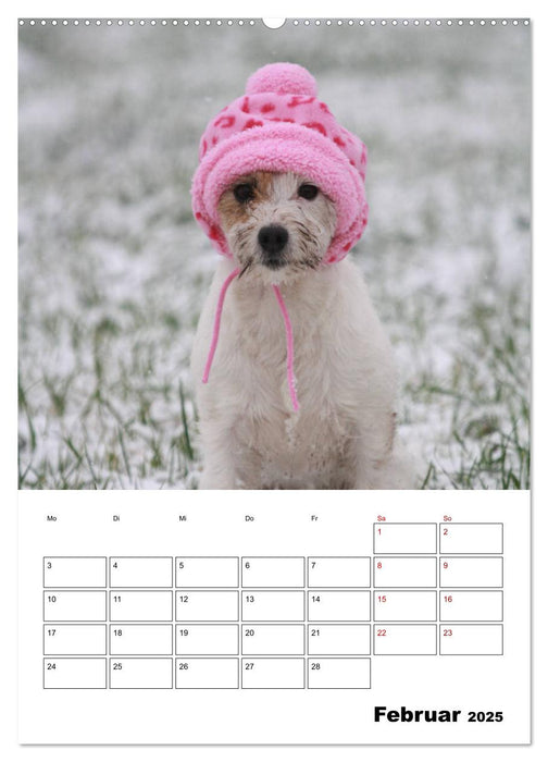 Tender Fellows - Parson Russell Terrier (CALVENDO Premium Wandkalender 2025)