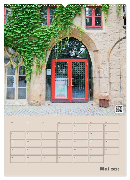 Türen und Portale in Pirna (CALVENDO Premium Wandkalender 2025)