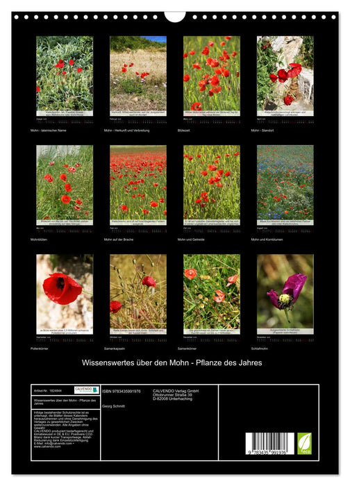 Wissenswertes über den Mohn - Pflanze des Jahres (CALVENDO Wandkalender 2025)
