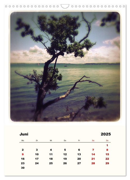 Ostsee Träumereien - Romantische Ansichten von Strande und Kiel-Holtenau (CALVENDO Wandkalender 2025)