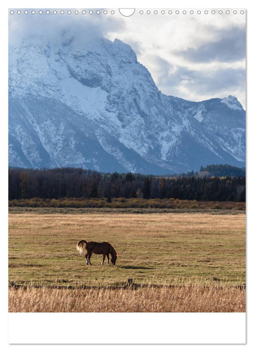 Teton Range - Der Grand Teton National Park (CALVENDO Wandkalender 2025)