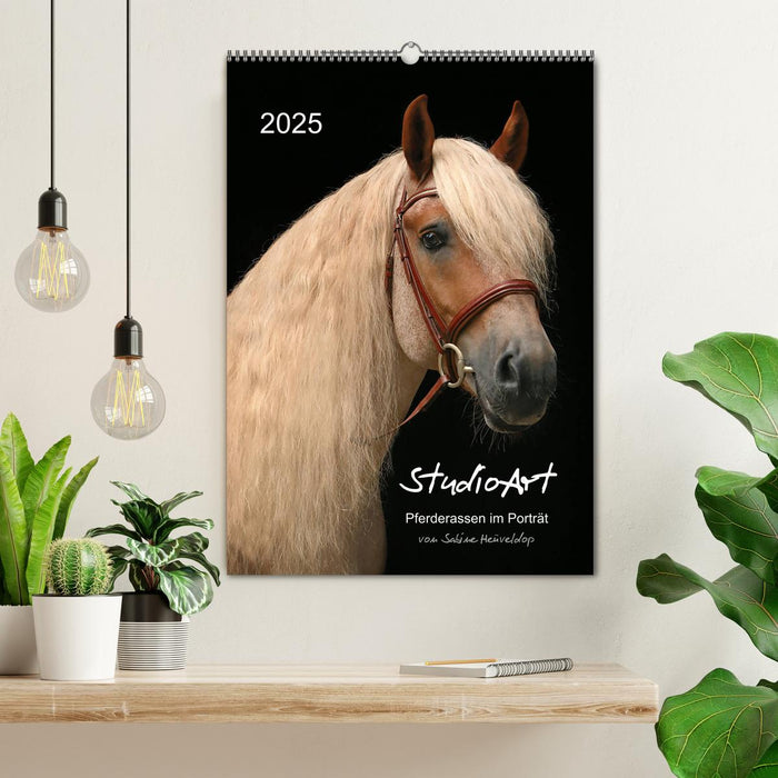 StudioArt Pferderassen im Porträt (CALVENDO Wandkalender 2025)