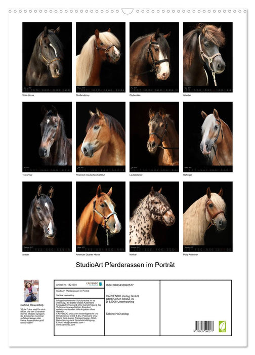 StudioArt Pferderassen im Porträt (CALVENDO Wandkalender 2025)