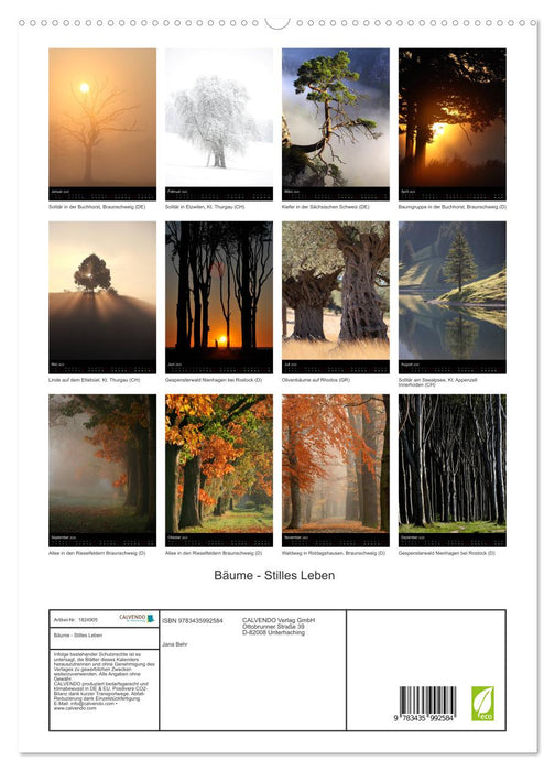 Bäume - Stilles Leben (CALVENDO Premium Wandkalender 2025)
