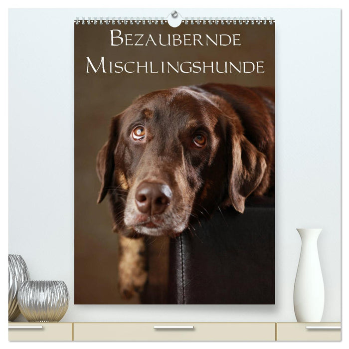 Bezaubernde Mischlingshunde (CALVENDO Premium Wandkalender 2025)