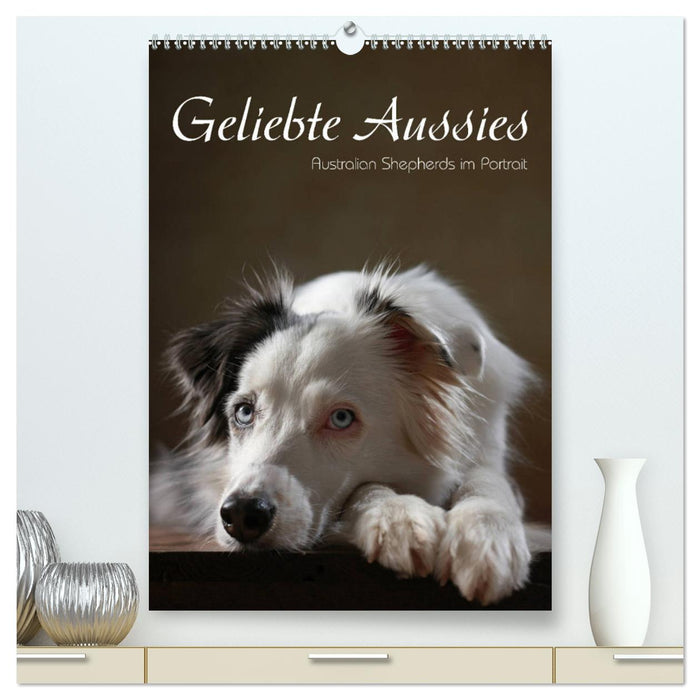 Geliebte Aussies - Australian Shepherds im Portrait (CALVENDO Premium Wandkalender 2025)